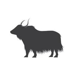Yak