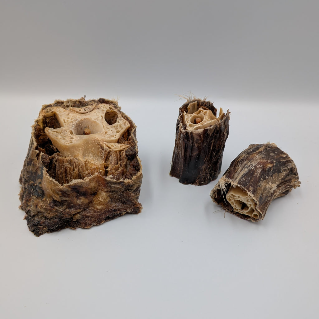 Anco Ostrich Neck Chunks