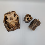 Anco Ostrich Neck Chunks