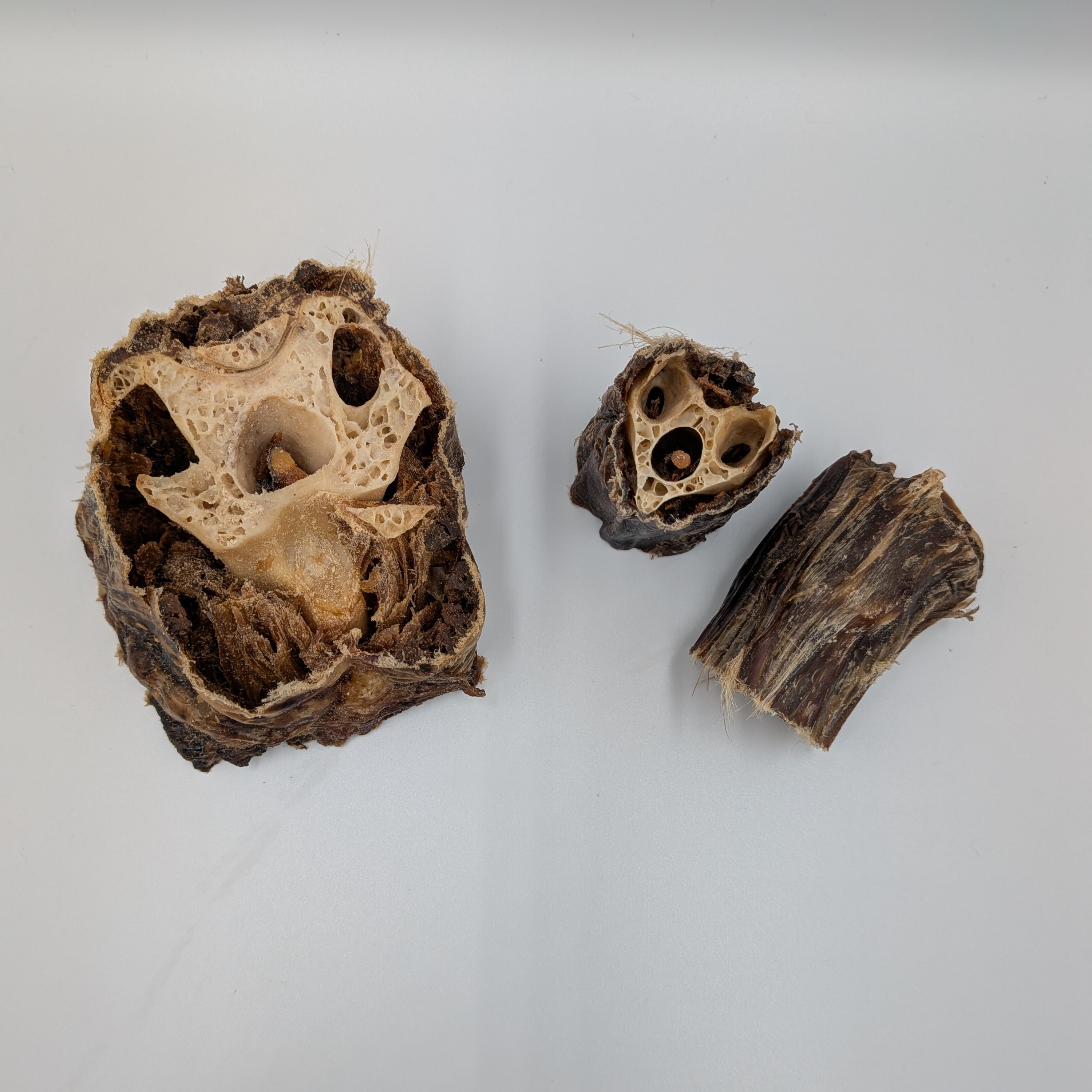 Anco Ostrich Neck Chunks