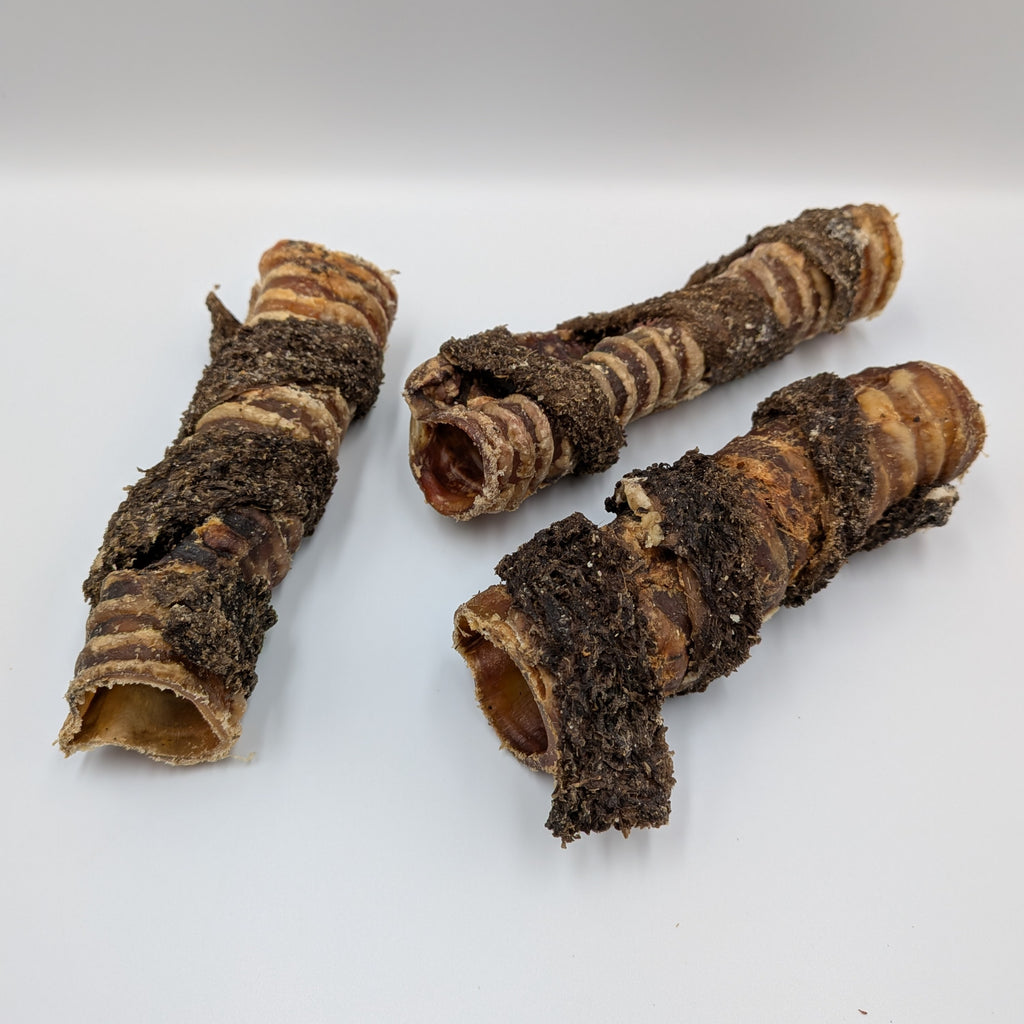 Anco Tripe Wrapped Beef Trachea