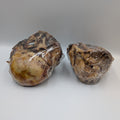 British Beef Knuckle Bone
