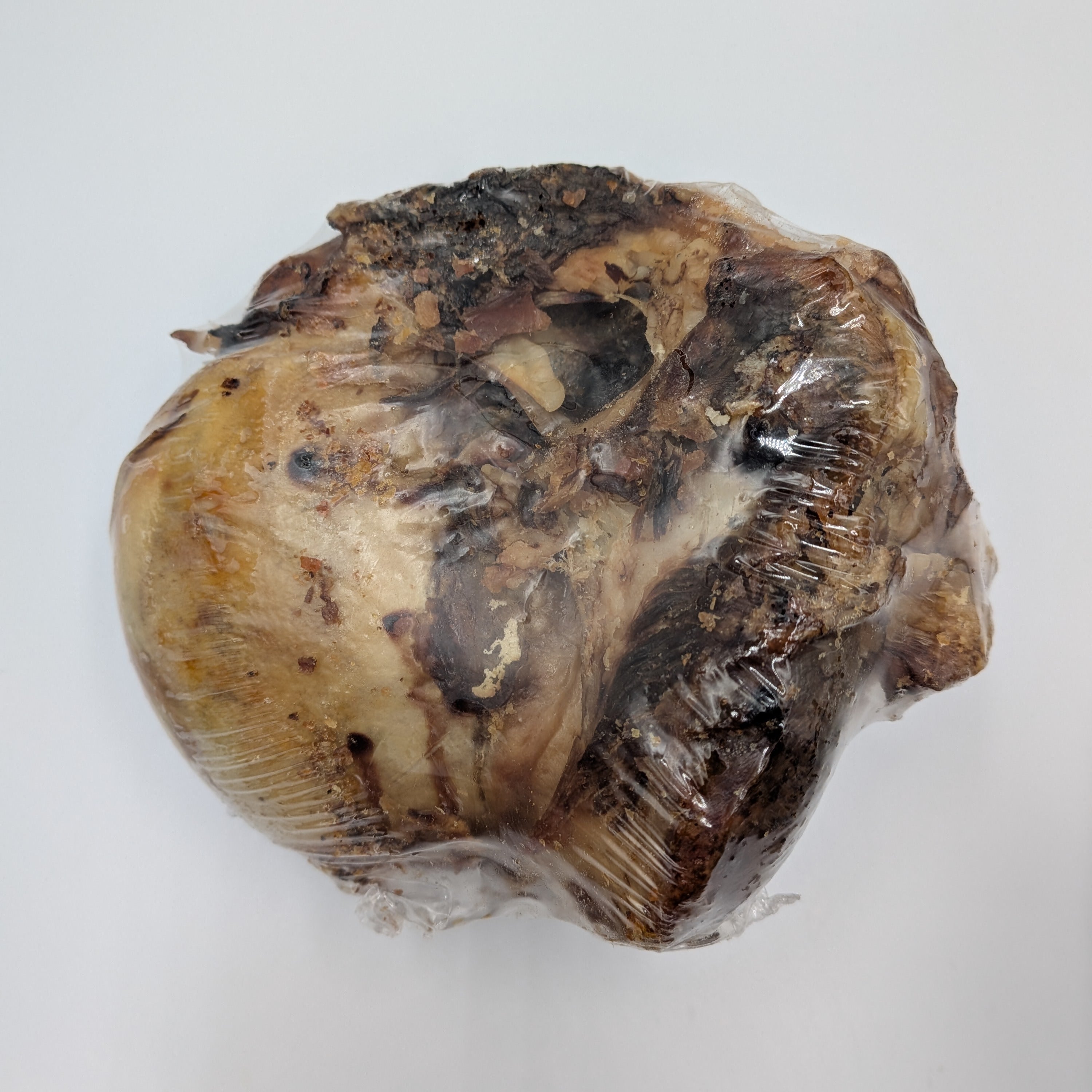 British Beef Knuckle Bone