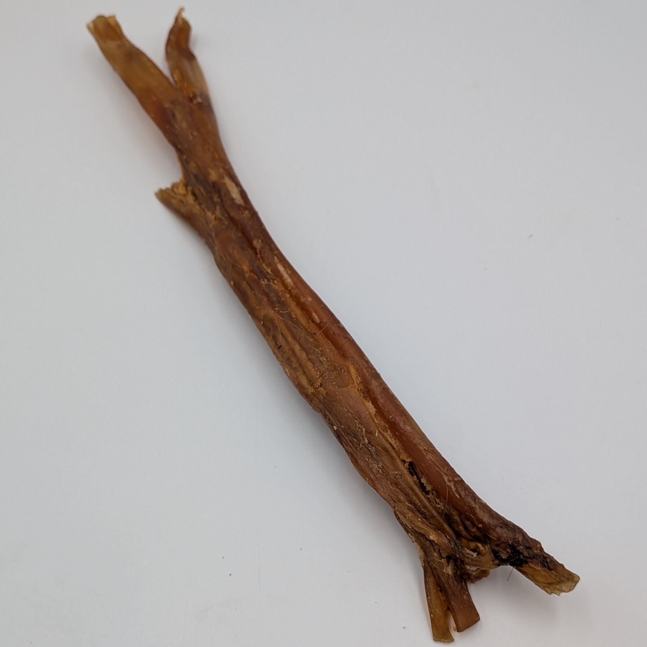 Beef Tendons