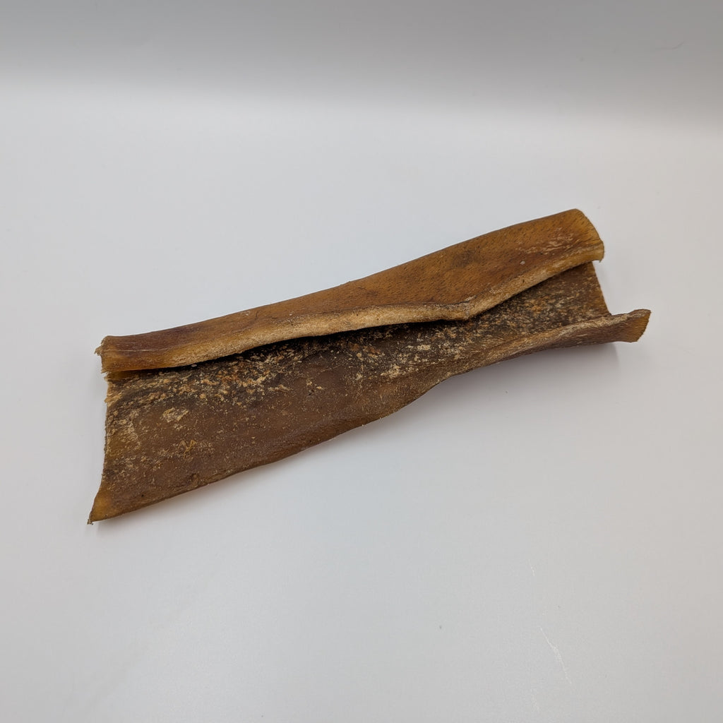 Camel Skin