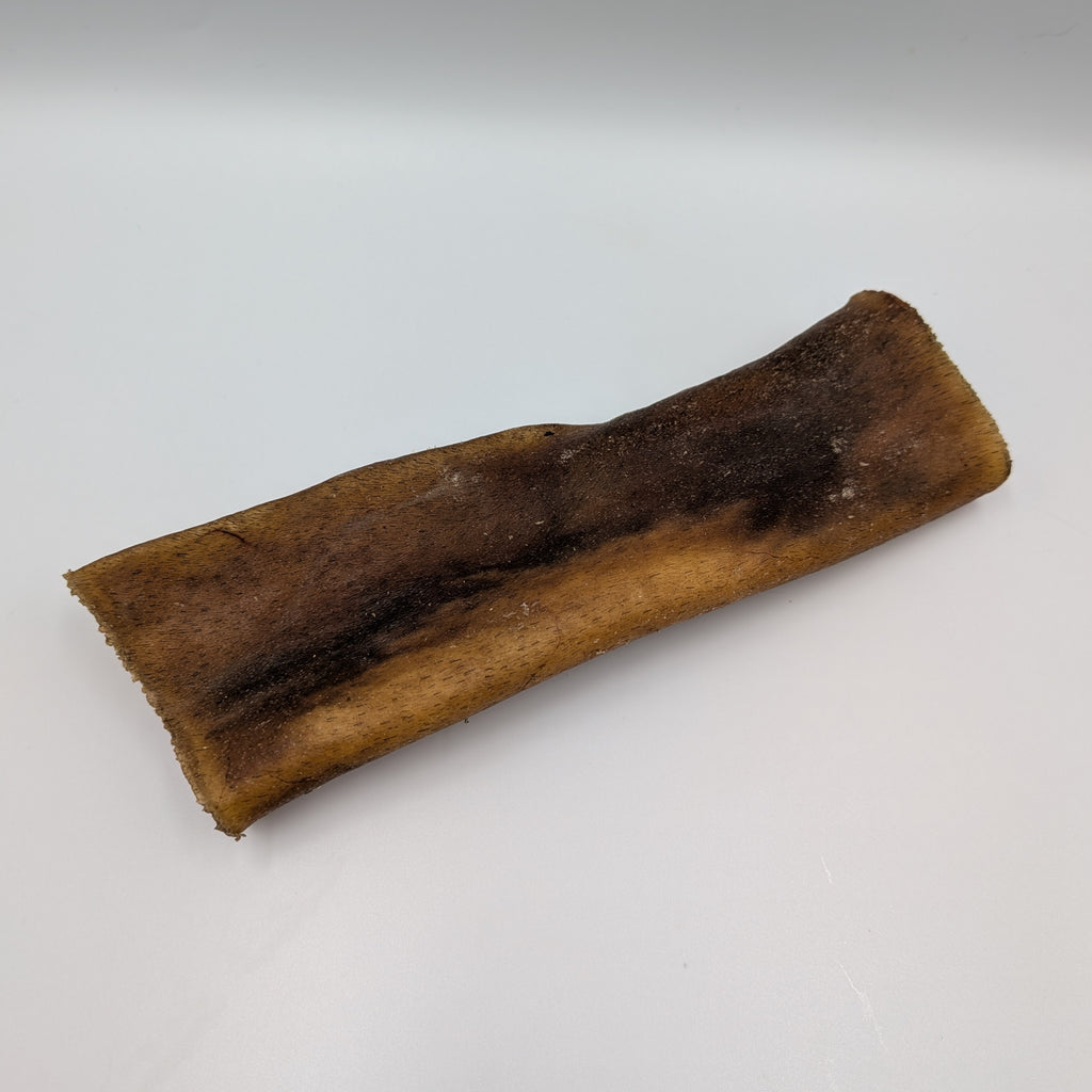 Camel Skin