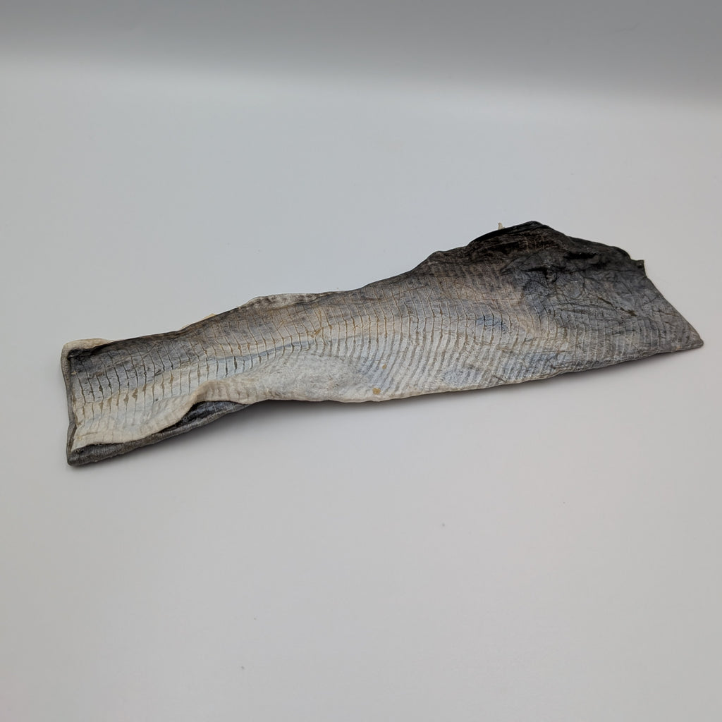 Fish Skin Flatties