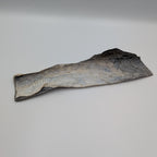 Fish Skin Flatties