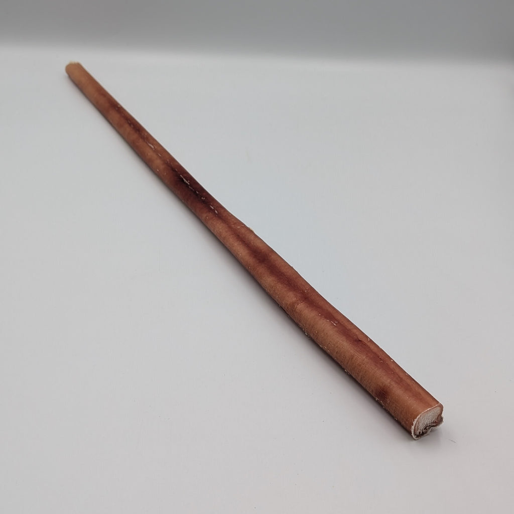 Giant Beef Pizzle "Bully Stick" (50cm)