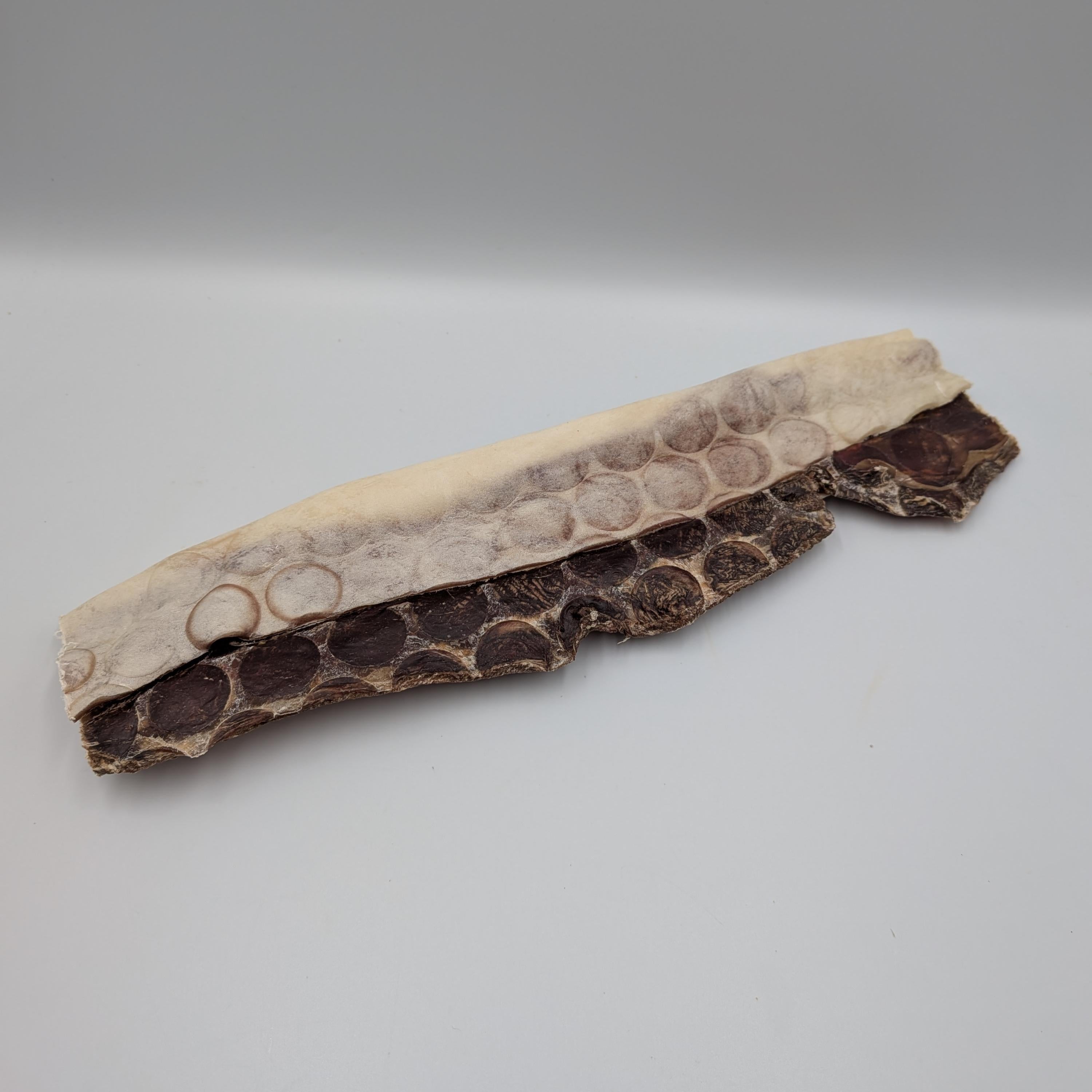 JR Beef Rasher (30cm)