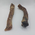 Goat Trachea