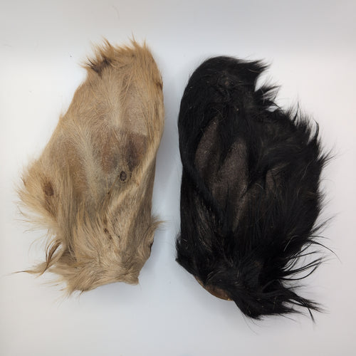 Hairy Cow Ear