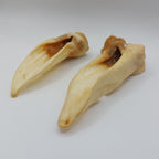 Lamb Ears White