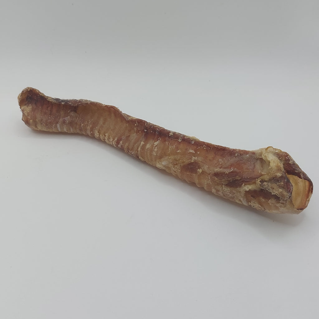 Lamb Trachea