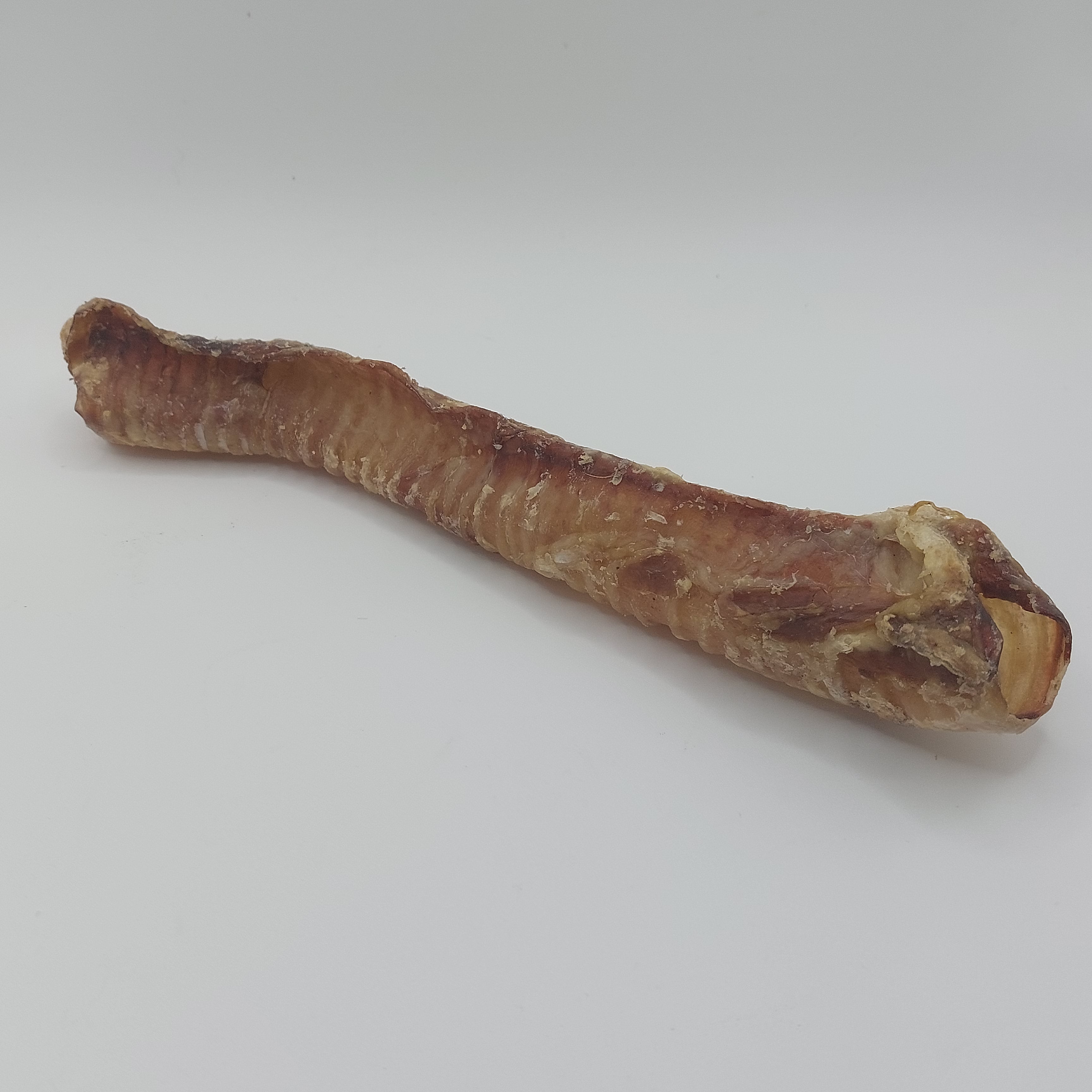 Lamb Trachea