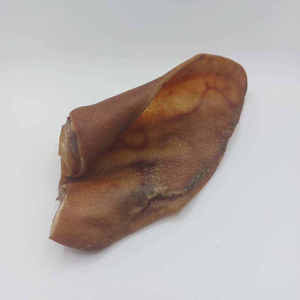 Large Pig Ears