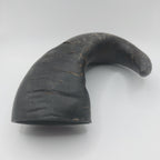 Buffalo Horn