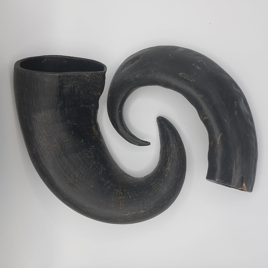 Large Buffalo Horn