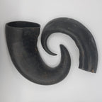 Large Buffalo Horn