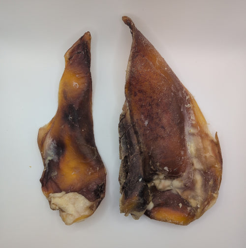 Moon Bone Cartilage 