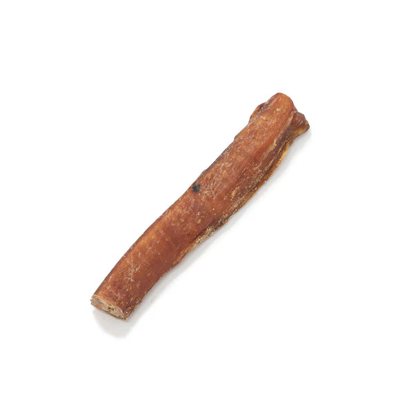 Bully Pizzle Stick