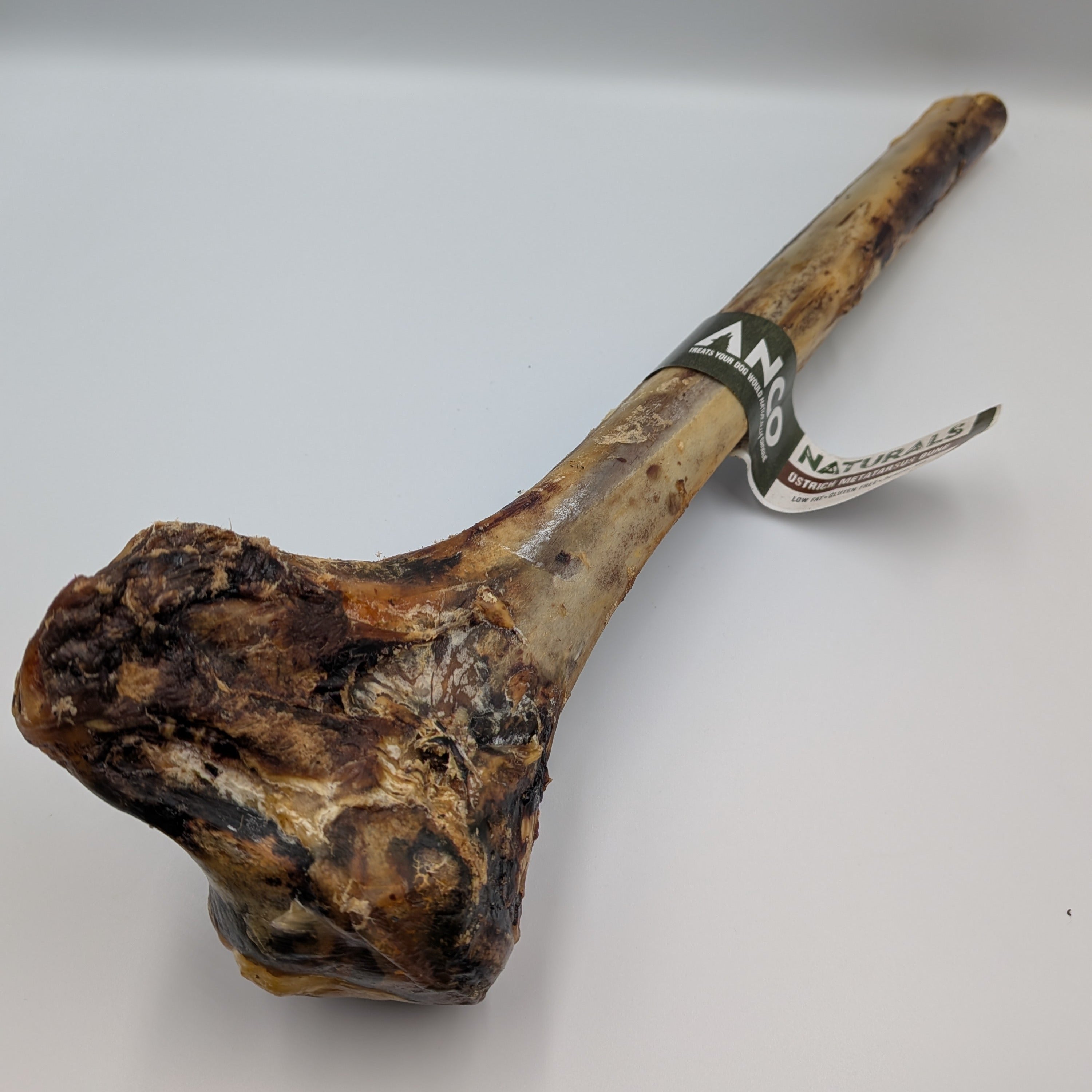 Ostrich Metatarsus Bone