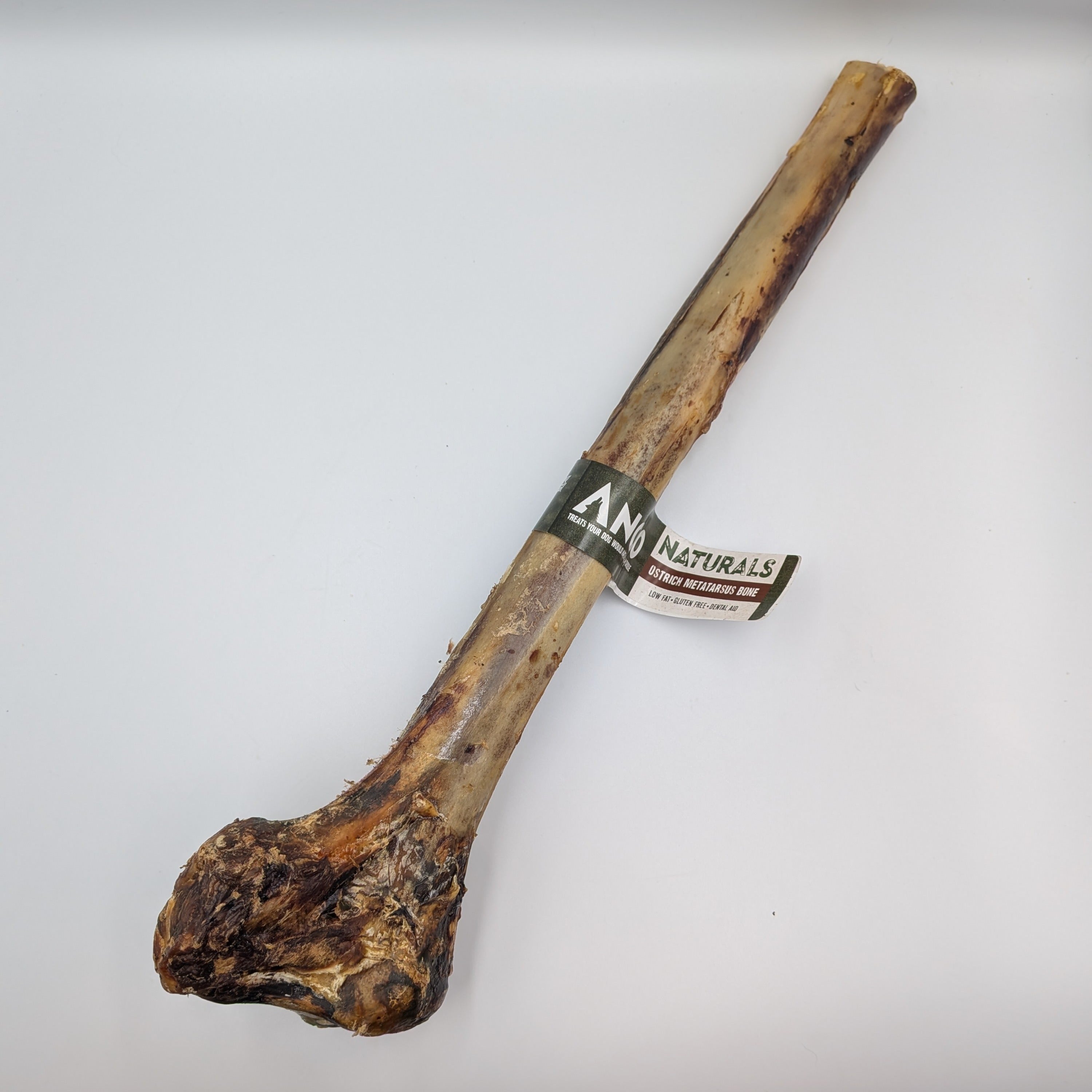 Ostrich Metatarsus Bone