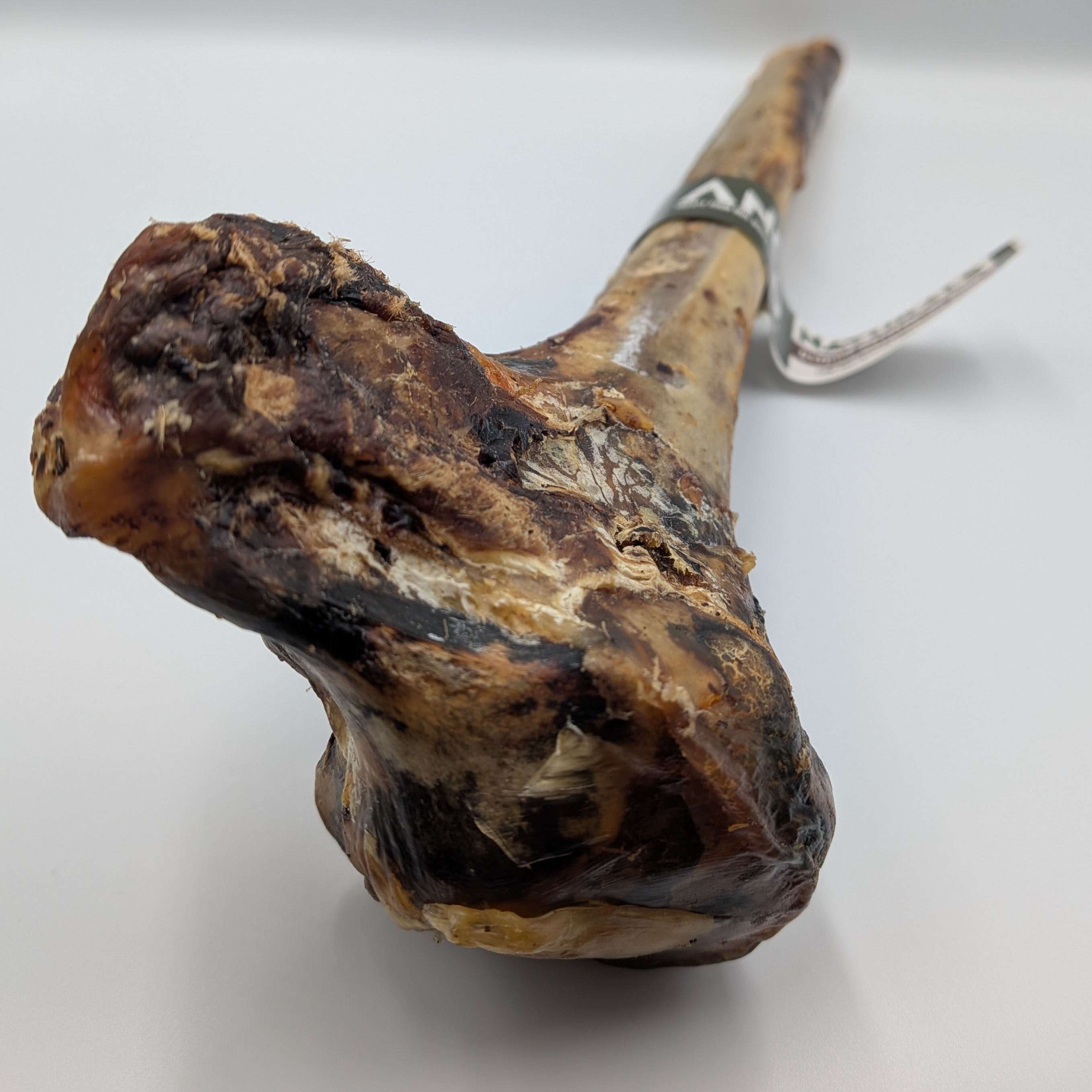 Ostrich Metatarsus Bone