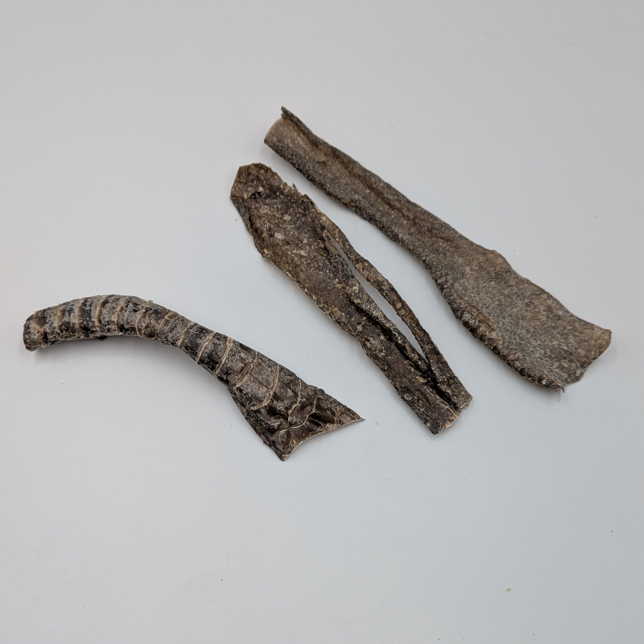 JR Ostrich Collagen Skin Slice